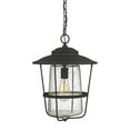 thumbnail image 1 of 9604BK-Capital Lighting-Spencer - One Light Outdoor Hanging Lantern  Black   Finish with Clear, 1 of 3