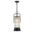 thumbnail image 1 of Eurofase Lighting - Rivamar - 1 Light Outdoor Pendant In Traditional And, 1 of 3