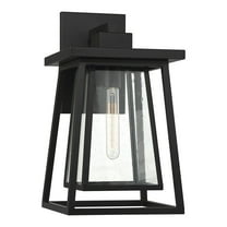 Denver 1-Light Outdoor Wall Lantern in Matte Black