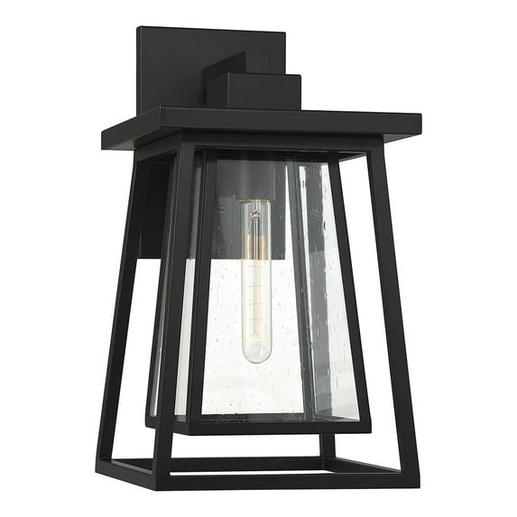 Denver 1-Light Outdoor Wall Lantern in Matte Black