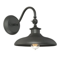 Elegant Outdoor Light Fixture - Raleigh 1-Light