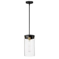 thumbnail image 1 of 12408CLBKSBR-Maxim Lighting-Pinn - 1 Light Pendant-14 Inches Tall and 8 Inches Wide-Black/Satin Brass Finish, 1 of 5
