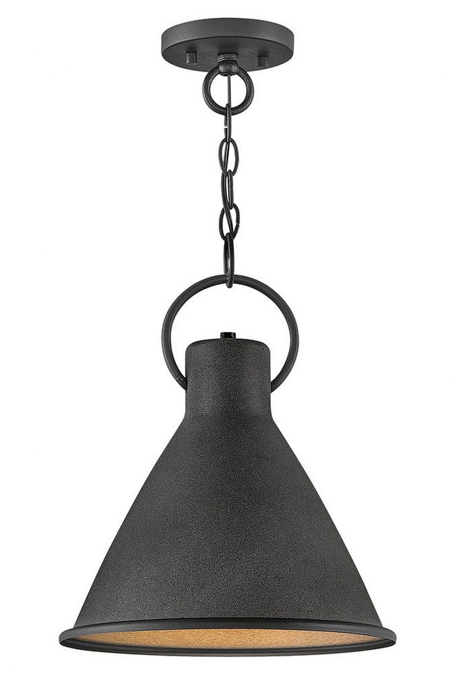 Rustic Pewter 15.5'' Single Light Metal Pendant with Distressed Black Accents