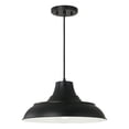 thumbnail image 1 of 1 Light Pendant     -Traditional Installation Capital Lighting 342111Mb, 1 of 4