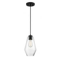 1 Light Pendant -Traditional Installation Minka Lavery 2338-66A