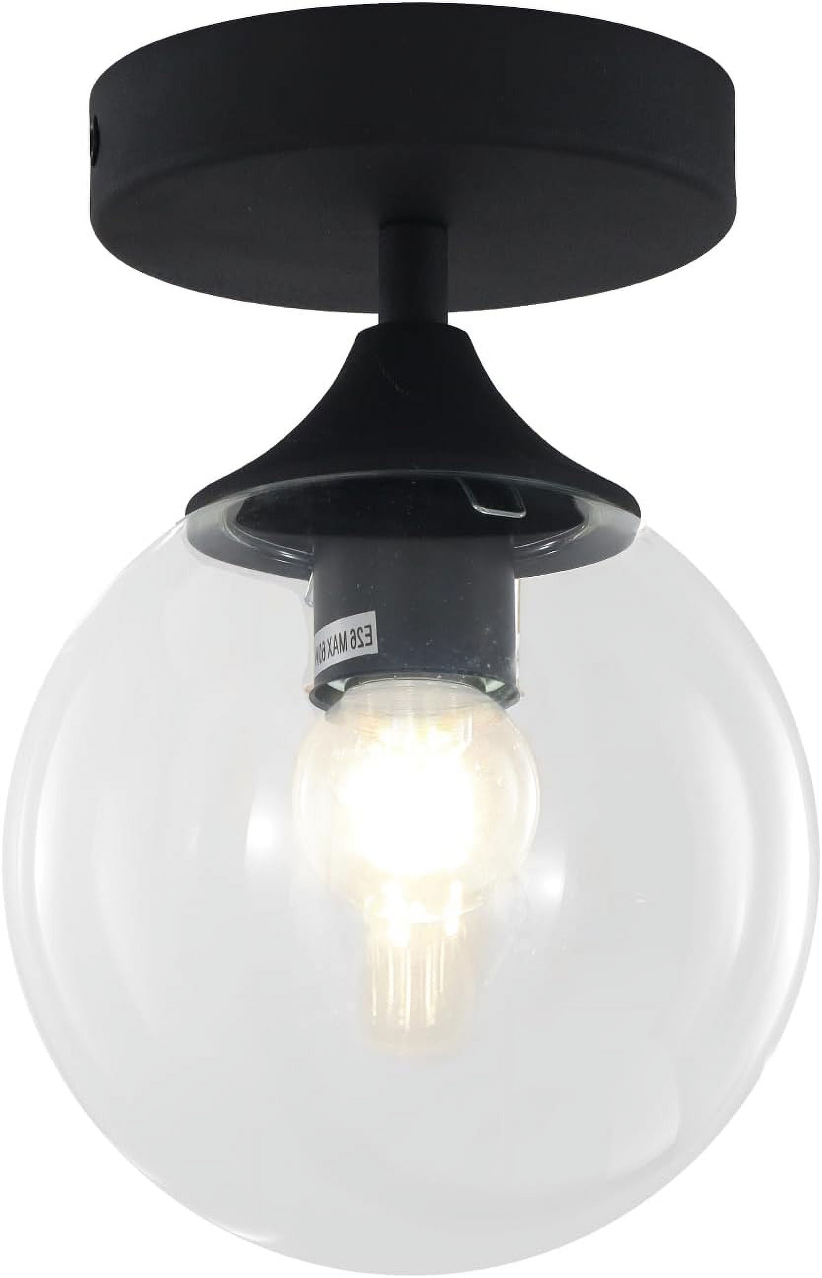 1-Light Small Clear Glass Globe Flush Mount Ceiling Light in Industrial ...