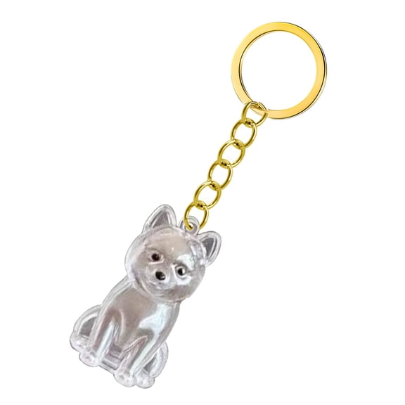 1. Memorial Keychain for Pet Ashes & Hair - Clear Display Case with Keyring for Pet Loss Remembrance