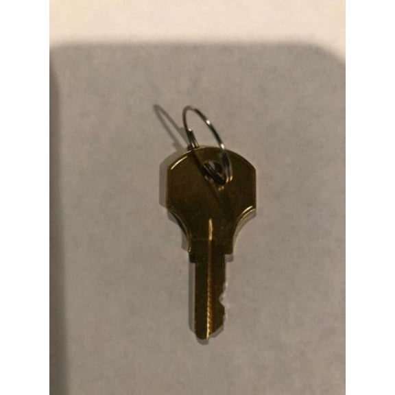 1 ONE NEW SIMPLEX B/CAT 30 STYLE KEY FOR FIRE ALARM PANEL AND PULL STATIONS KEY ONLY