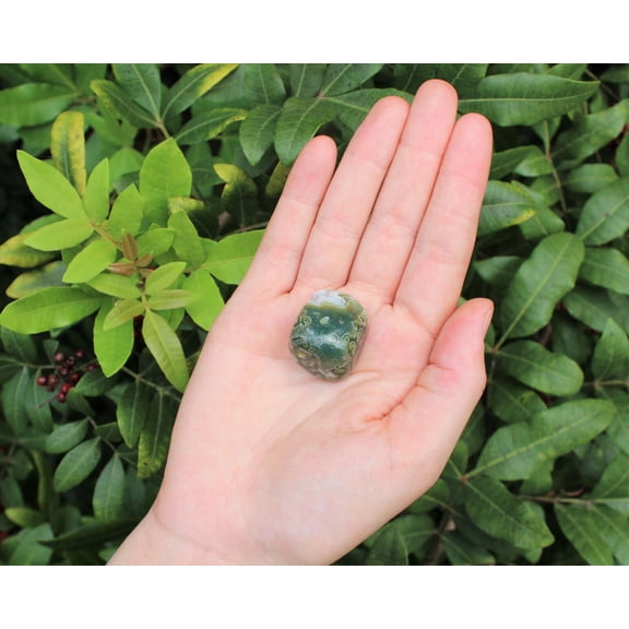 1 (One) Medium Sea Jasper Tumbled Stone (Jasper Stone)