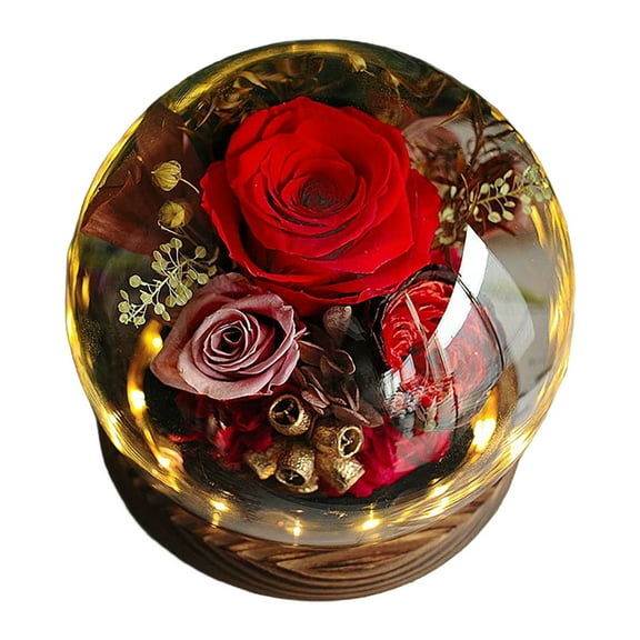 Desktop Ornament - Desktop Dress Up - Preserved Real Flowers For Her Women Wife Mom Forever Fresh Roses In Glass Dome With Led Lights - 1 Ornament