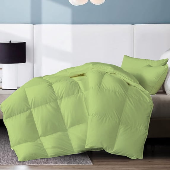 1 PC Full Size Down Alternative Comforter - Microfiber 300 GSM- Lightweight Comforter with Corner Tabs(82x86, Sage)