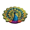 thumbnail image 1 of 1 PC Interesting Peacock Floor Mat Floor Mats Porch Entrance Door Floor Mats(15.8"×15.8",B), 1 of 5