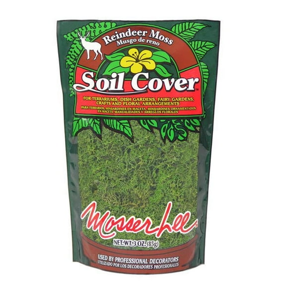 1 PC Mosser Lee Soil Cover Organic Dark Green Reindeer Moss 3 oz