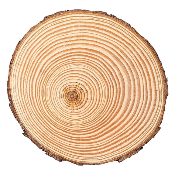 1 PC Natural Wood Slice, Bark Log Discs, Round Wood Chip, 1.1-1.5 Inch Annual Ring Wood Chips for DIY Crafts Home Wedding Party Decoration