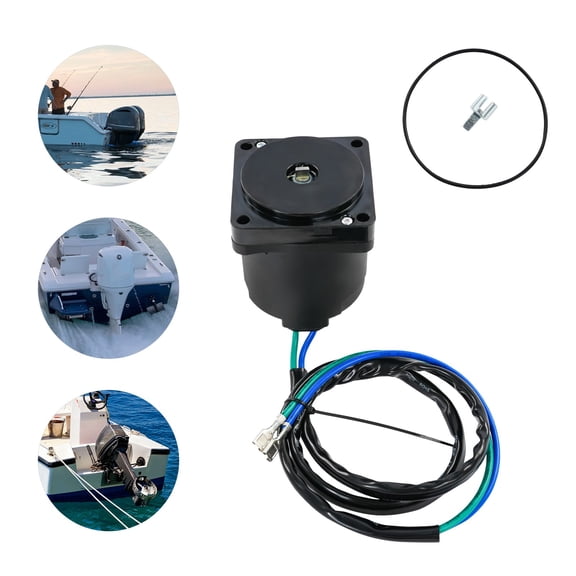 1 PCS Black Tilt & Trim Motor, Replacement Tilt Trim Motor for Outboard Motor, Outboard Tilt Trim Motor, Power: 250W