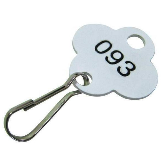 1 PK ZoroSelect Key Tag Numbered 1 to 100, White, 100 PK