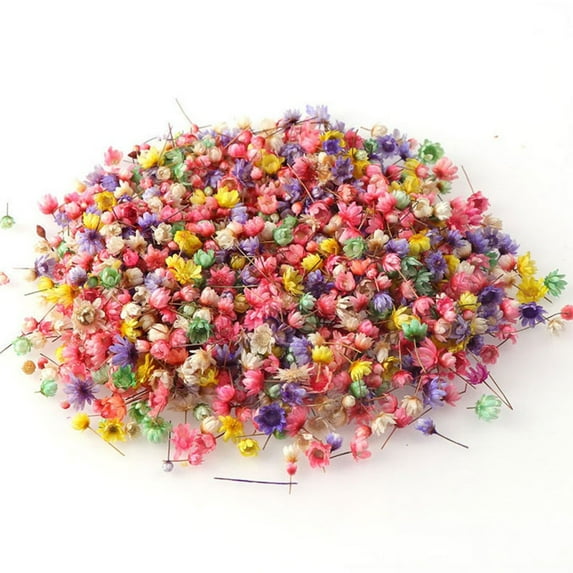1 Pack/100 PCS Multi Color Mini Dried Flowers DIY Art Craft Epoxy Candle Making