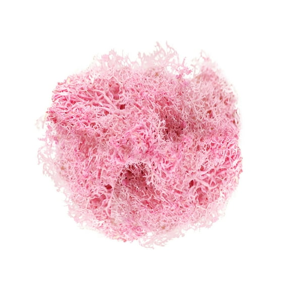 1 Pack Of 10G Artificial Moss Potted Plants Garden Decoration Immortal Natural Dry Moss Wedding Party Plant Crafts Floral Background Decoration Moss Immortal Flower Decoration Artificial Plants