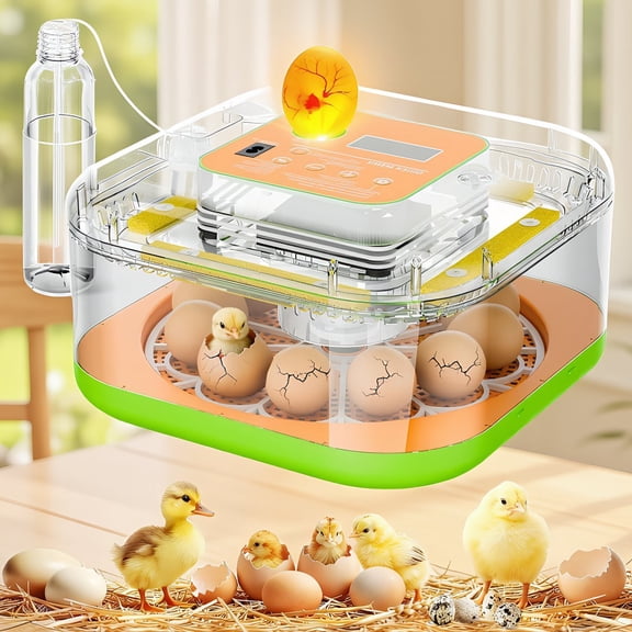 1-Pack 12-Egg Incubator with Automatic Turner, Humidity and Temperature Control, Built-in Candler for Chicken Duck Turkey