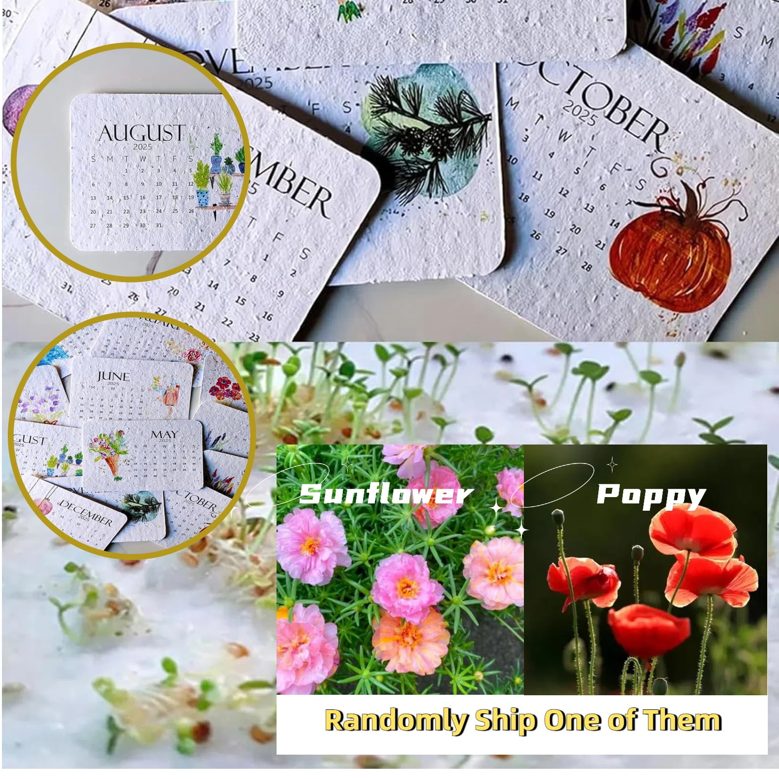 1 Pack 2025 Plantable Calendar A Unique Planner Featuring 12 Plantable
