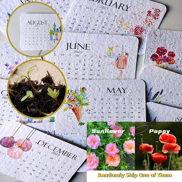 1 Pack 2025 Plantable Calendar Grow Your Own Greenery with 12