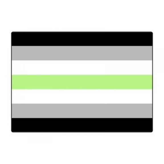 1 Pack - Agender Pride Flag LGBTQ+ - 5x7 Inch Metal Print