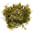 thumbnail image 1 of 1 Pack Artificial Moss Fake Lichen Simulation Green Faux Pot Moss for DIY Miniature House (About 20g), 1 of 4