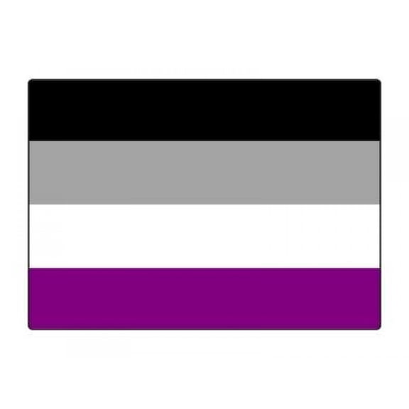 1 Pack - Asexual Pride Flag LGBTQ+ - 5x7 Inch Metal Print