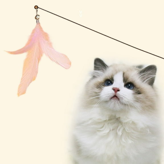 1 Pack Cat Feather Toy, Interactive Pet Kitten Chaser Teaser Wire Wand with Bell Beads for Cat Exercise Play Fun Gifts - Replaceable Feathers Pet Training Exercise Toy
