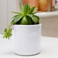 thumbnail image 1 of 1-Pack Ceramic Plant Pots, 5Inch Plastic Planters Round Flower Planter Containers Flower Pots for Indoor/Outdoor/Garden, Plant Holder ,Coffee 1, 1 of 5