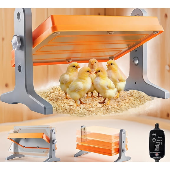 1 Pack Chick Brooder Heating Plate, 12" x 8" Adjustable Height & 3-Speed Temperature Control, Poultry Warmer for Up to 10 Chicks, Orange