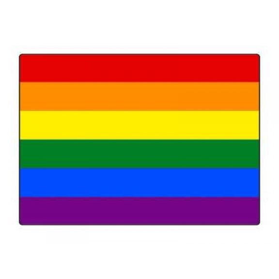 1 Pack - Classic Rainbow Pride Flag LGBTQ+ - 5x7 Inch Metal Print