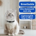 thumbnail image 1 of 1 Pack Clear Small Cat Muzzle for Grooming, Breathable Transparent Cat Bubble Muzzle Anti Lick Mask with Black Strap, for Vet Visit Cat Grooming Supplies for Small Cat Breeds, 1 of 5