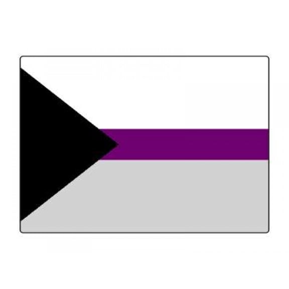1 Pack - Demisexual Pride Flag LGBTQ+ - 5x7 Inch Metal Print