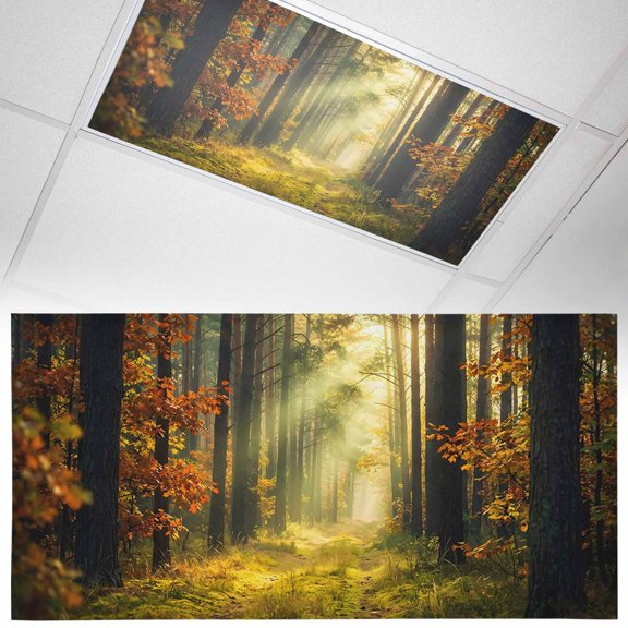 1 Pack Enchanted Forest Fluorescent Light Covers for Ceiling Lights Fall Nature Sunlight Sunbeams Path Magnetic Ceiling Light Covers Overhead Light Filters for Office Classroom Home