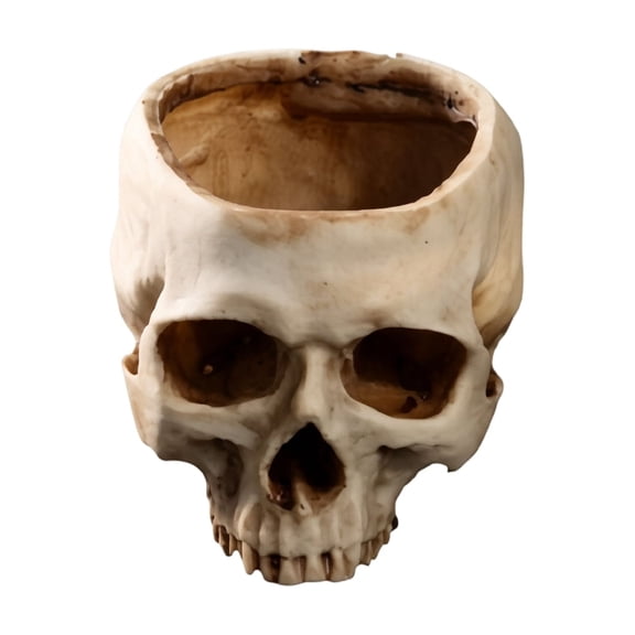 1 Pack Gothic Halloween Decor Halloween Skeleton Decorations White Skull Small Planter Pot Spooky Halloween Decor for Indoor Home Table Desk Halloween Home Decor