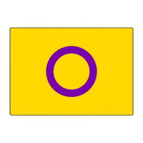 1 Pack - Intersex Pride Flag LGBTQ+ - 5x7 Inch Metal Print