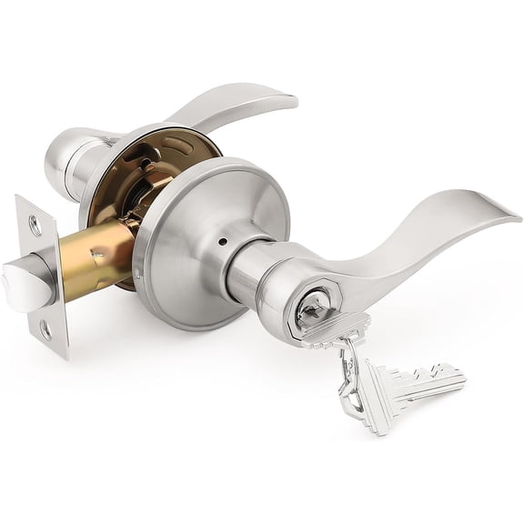 1 Pack Keyed Entry Door Handles Front Door Leverset Entrance Lever Handle with Lock and Key(Different Keys)