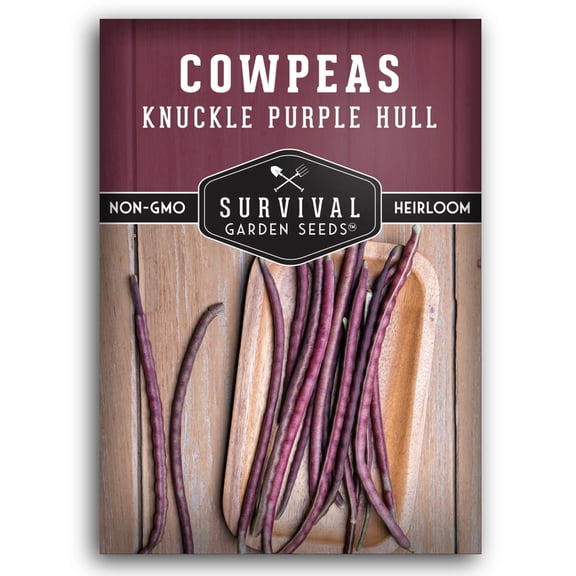 Knuckle Purple Hull Pea Seeds - Heirloom Full Sun Annual Vegetable - 1 Pack