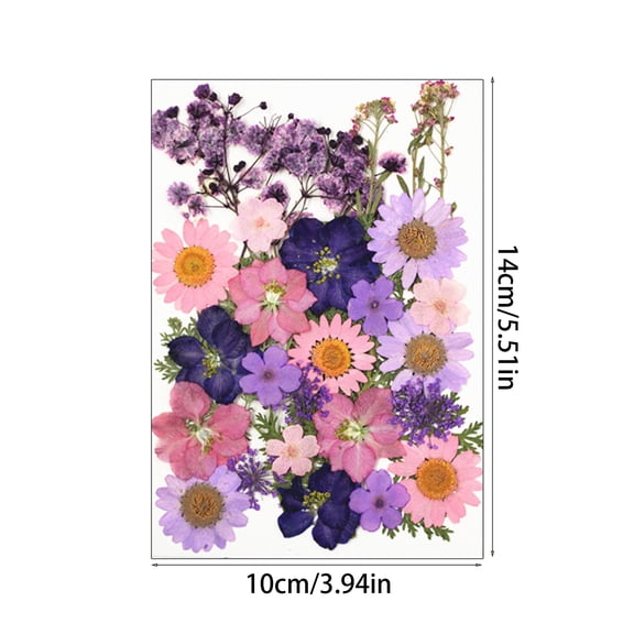 1 Pack Mixed Dried Flower Pressed Leaf Flower Resin Beauty Art Decals Epoxy Mold Fillings Dry