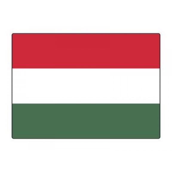 1 Pack - National Flag Of Hungary - 5x7 Inch Metal Print