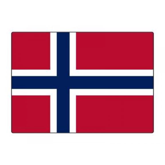 1 Pack - National Flag Of Norway - 5x7 Inch Metal Print