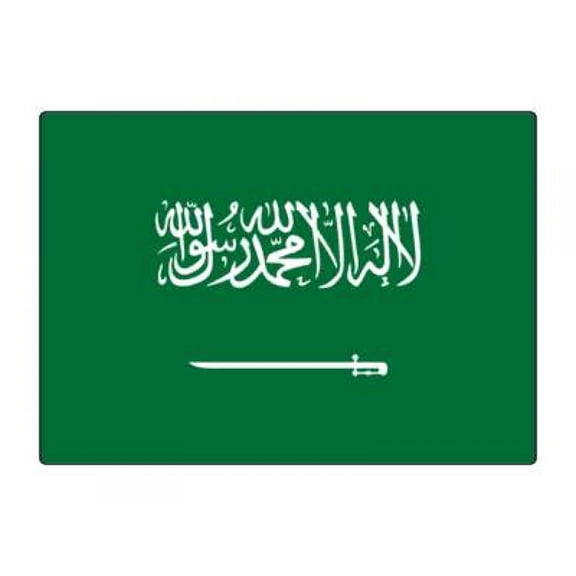 1 Pack - National Flag Of Saudi Arabia - 5x7 Inch Metal Print