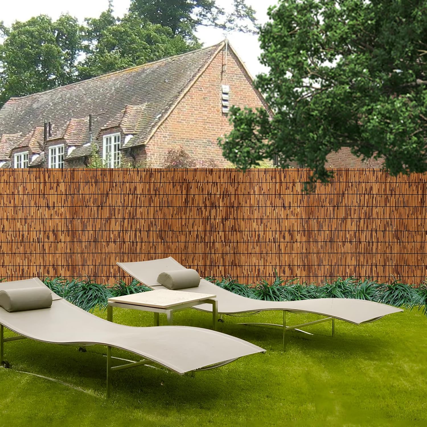 1 Pack Natural Reed Fence,5.5FT X 16.4FT Bamboo Fencing Privacy Reed ...