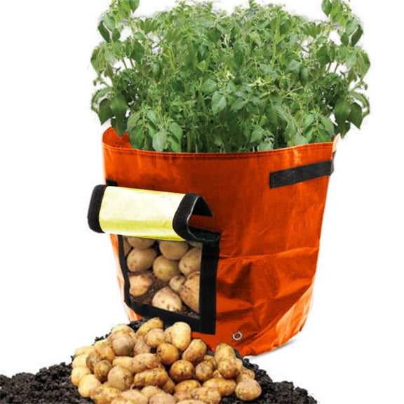 1-Pack Plant Grow Bags 10 Gallon Potato Grow Bags Durable PE Pots with Flap and Handles Planter Container Bag Pouch Plant Growing Pot Side Window for Outdoor Indoor Tomato,Vegetable Fruits