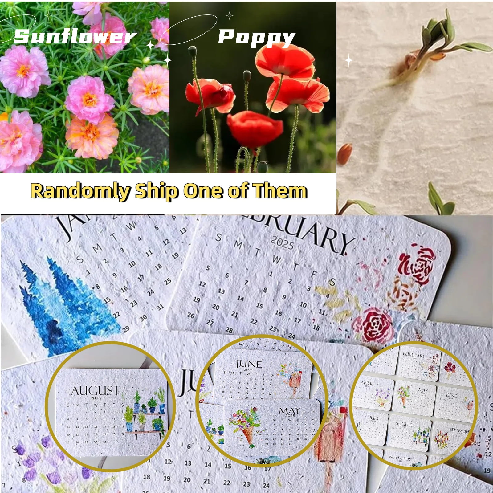 1 Pack Plantable Calendar 2025: 12 Months of Planning with Nature ...