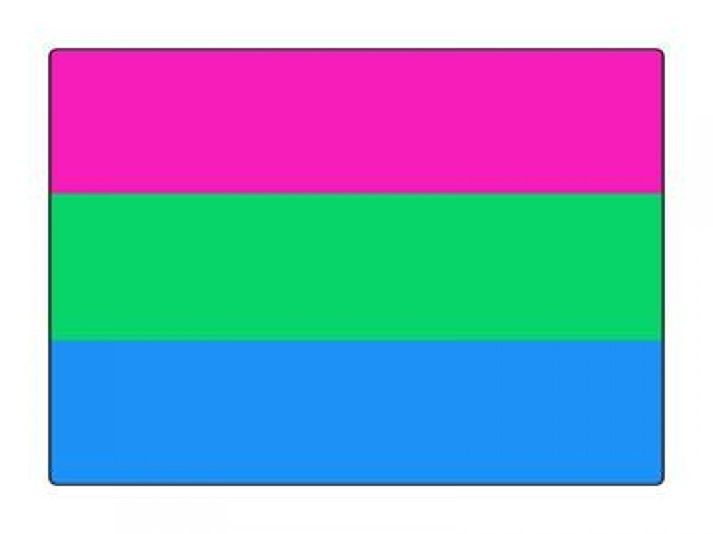 1 Pack - Polysexual Pride Flag Pride Flag LGBTQ+ - 5x7 Inch Metal Print ...