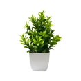 thumbnail image 1 of 1-Pack Small Fake Potted Plants, Artificial Magnolia Grass Potted Plant, Mini Faux Green Flower Greenery , Decorative Fake Plant for Tabletop, Home, Office and Bathroom Indoor Decoration, 1 of 3