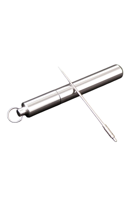 1 Pack Titanium Alloy Toothpick Keychain Design Reusable Portable Pick for Daily Home Outdoor Camping Travel Durable Metal Tooth Cleaning Tool 3Inch