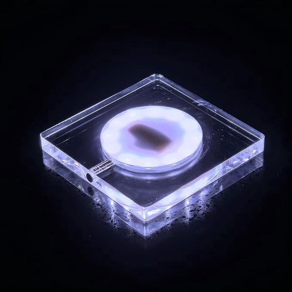 1 Packs USB Rechargeable LED Coaster White Light Up Coasters,LED Sticker Lights,Wine Bottle Lights,Bottle Glorifier Cup Luminous Mat for Drinks